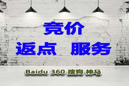 百度竞价代运营的成功案例：从零到一的突破